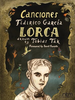 cover image of Canciones